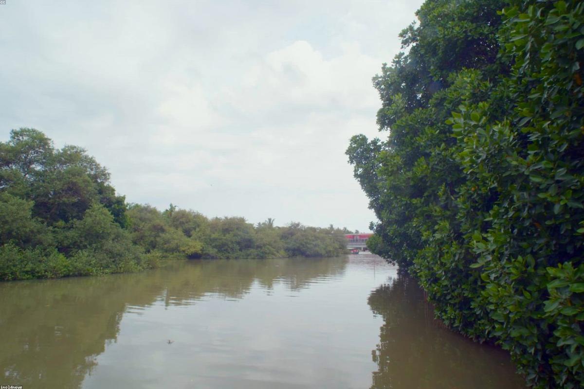 Allées d'arbustes et de vivaces en pots à la Pépinière des Coteaux Verts près de Nantes